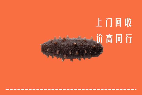 高价求购：晋中灵石回收海参