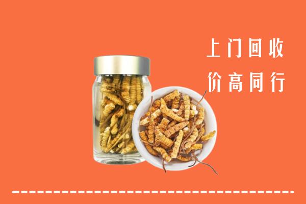 晋中灵石回收冬虫夏草