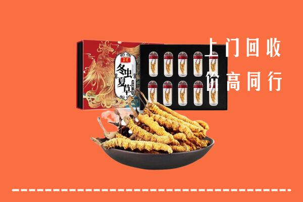 晋中灵石回收虫草